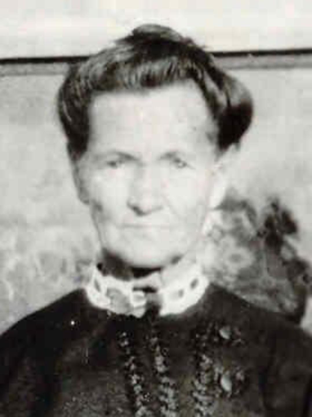 Anna Sophia Erickson (1849 - 1928) Profile